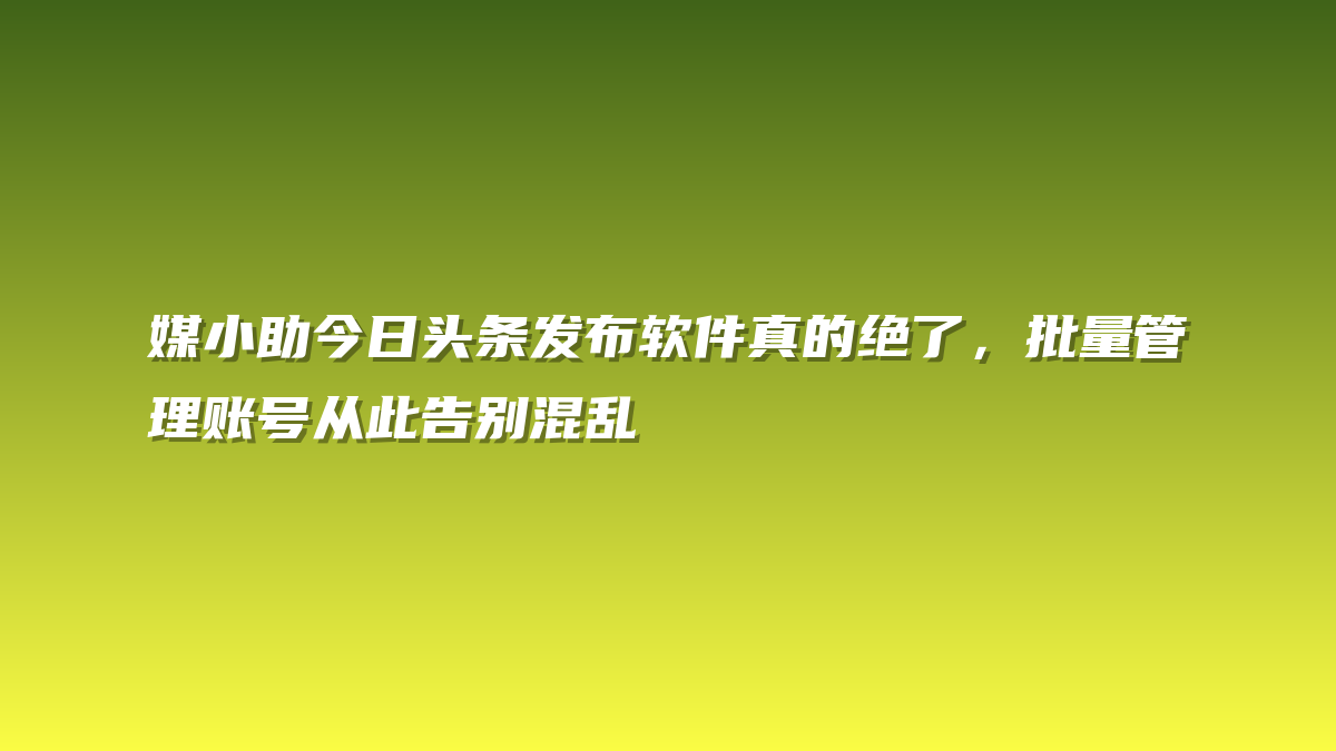 媒小助今日头条发布软件真的绝了，批量管理账号从此告别混乱