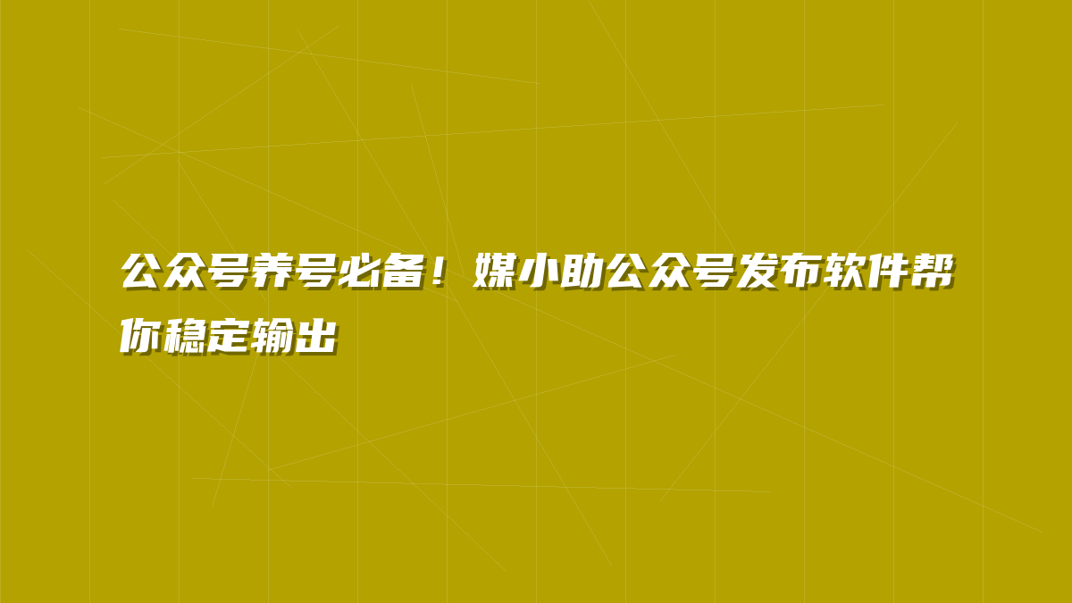 公众号养号必备！媒小助公众号发布软件帮你稳定输出