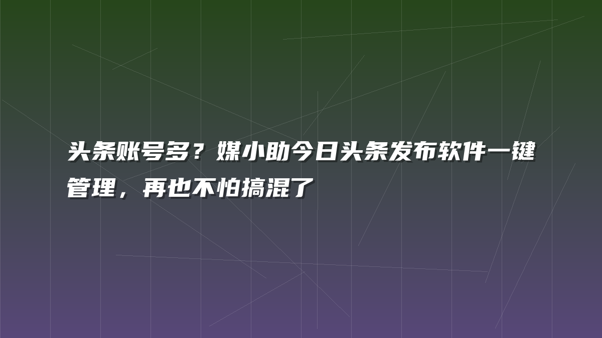 头条账号多？媒小助今日头条发布软件一键管理，再也不怕搞混了
