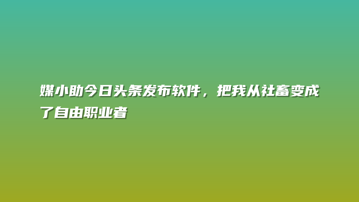 媒小助今日头条发布软件，把我从社畜变成了自由职业者
