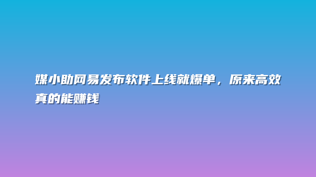 媒小助网易发布软件上线就爆单，原来高效真的能赚钱