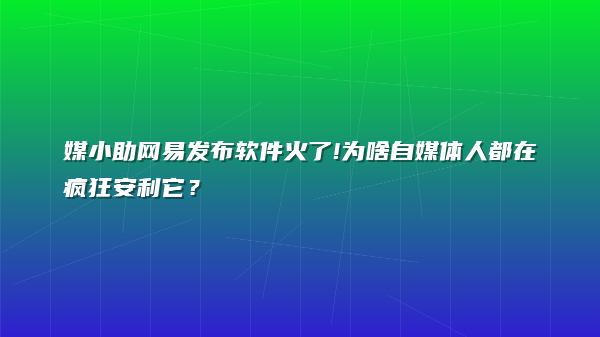 媒小助网易发布软件火了!为啥自媒体人都在疯狂安利它？