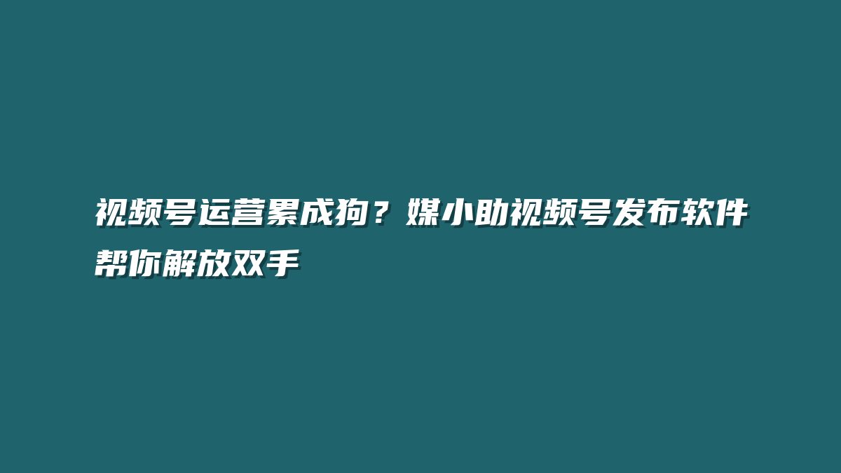 视频号运营累成狗？媒小助视频号发布软件帮你解放双手