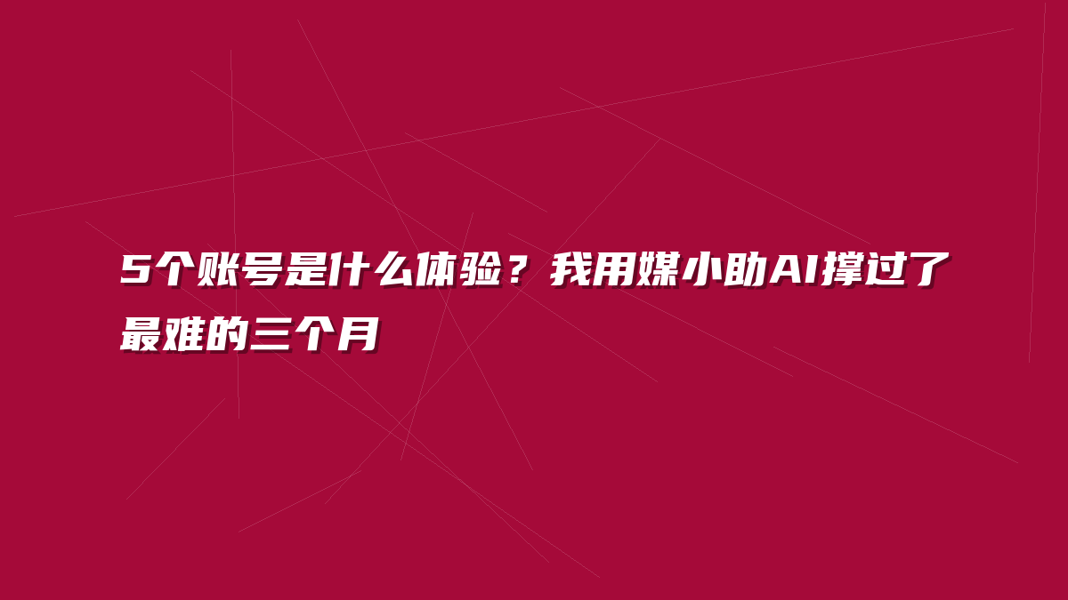 5个账号是什么体验？我用媒小助AI撑过了最难的三个月