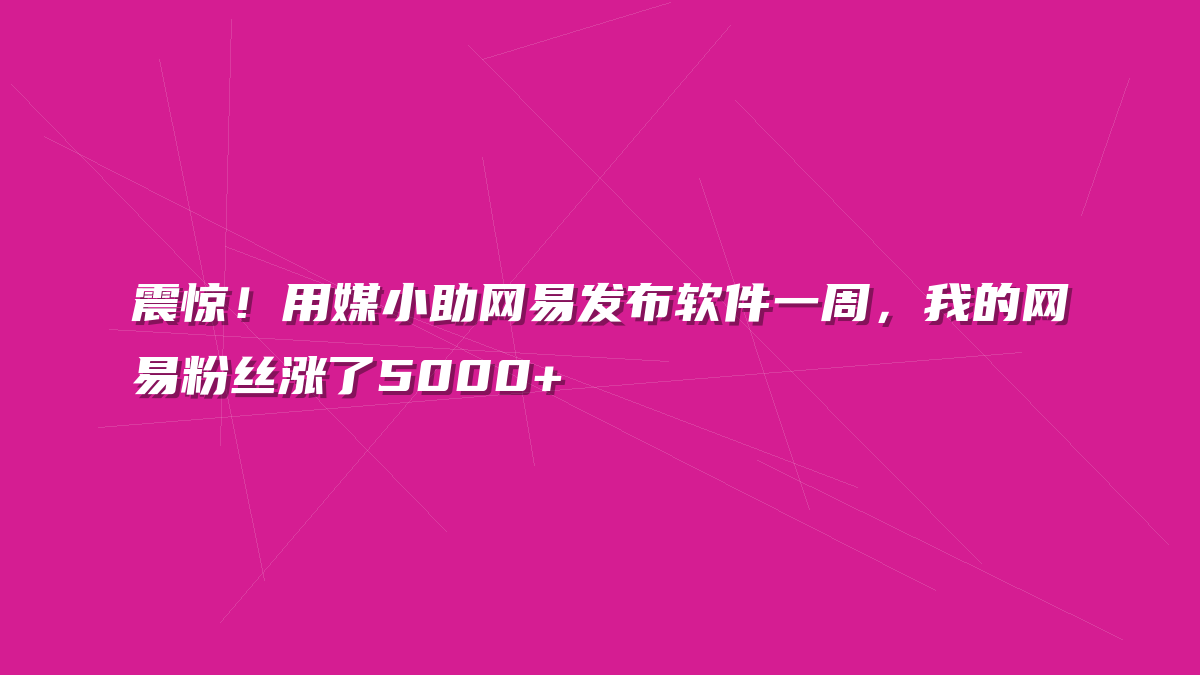 震惊！用媒小助网易发布软件一周，我的网易粉丝涨了5000+