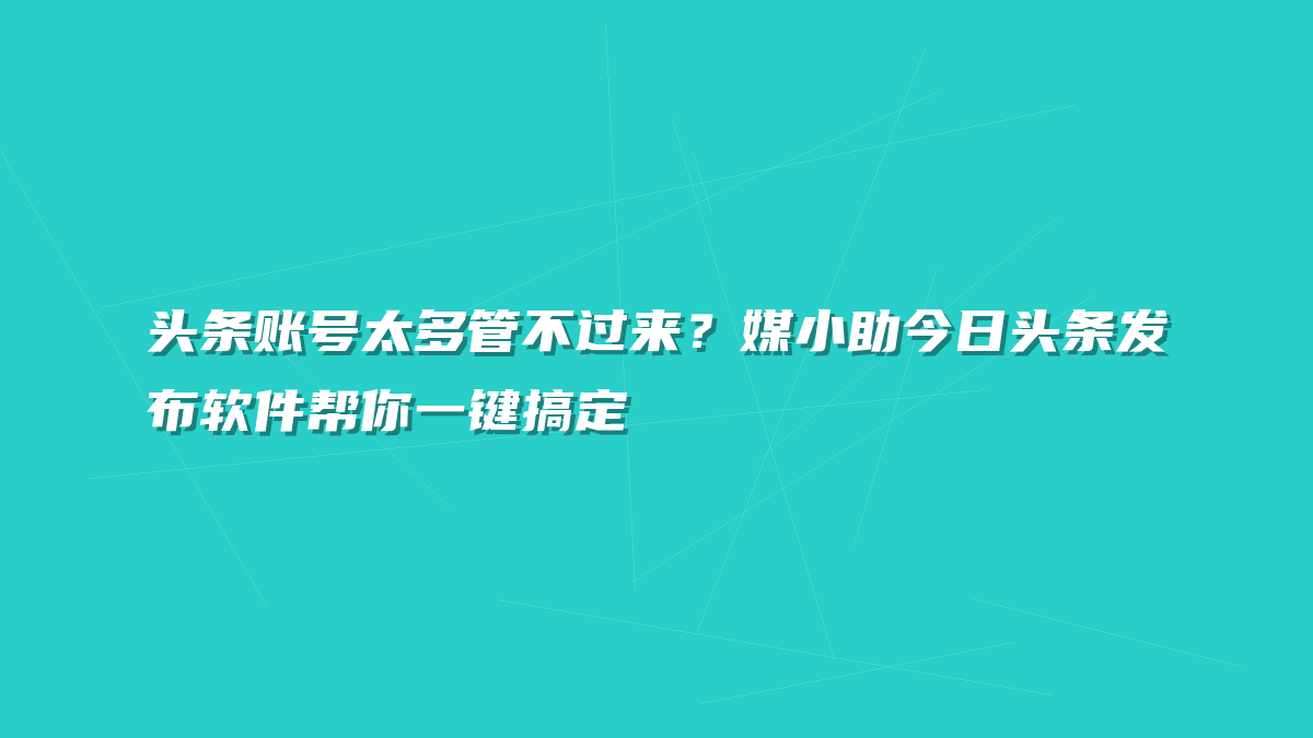 头条账号太多管不过来？媒小助今日头条发布软件帮你一键搞定