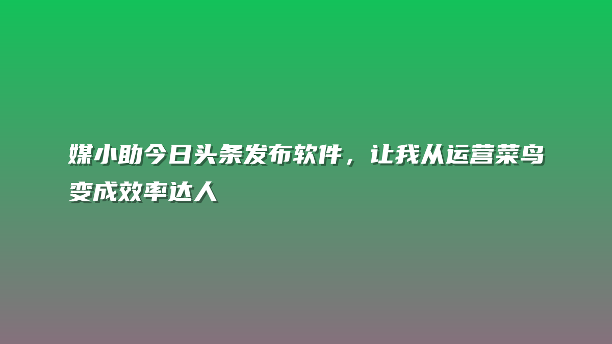 媒小助今日头条发布软件，让我从运营菜鸟变成效率达人
